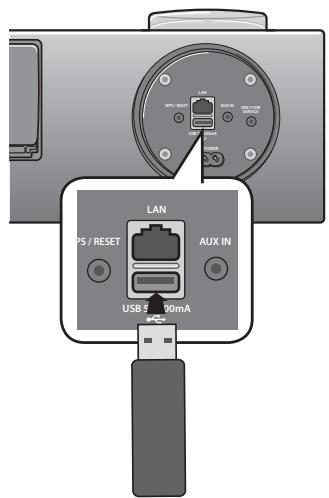 SAMSUNG DA-E750 - Prima di collegare un dispositivo USB - 1