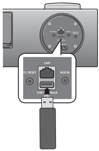 SAMSUNG DA-E750 - Bevor Sie ein USB-Gerät anschließen - 1