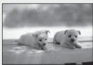 SAMSUNG HT-C5800 - 16:9 Normal - 2
