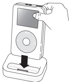 SAMSUNG MM-D430 - Watching a Video - 1
