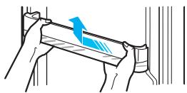 SAMSUNG SR448EW - REMOVING THE REFRIGERATOR ACCESSORIES - 6