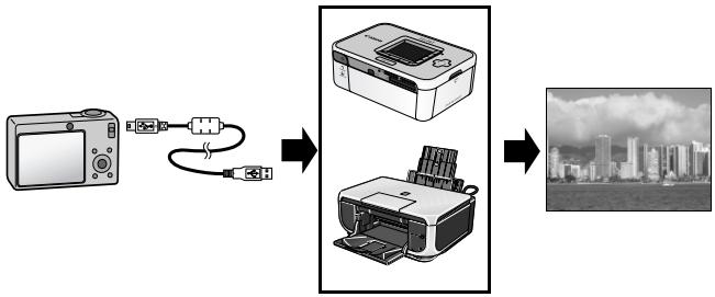 CANON PICTBRIDGE - Permet d'imprimer sans ordinateur - 1
