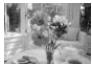 CANON PICTBRIDGE - Impression de plusieurs images sur une feuille de papier - 4