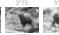 CANON PICTBRIDGE - Impression de séquences video (Impression video) - 14