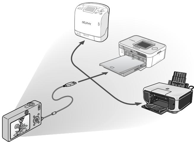 CANON PICTBRIDGE - Guide d'utilisation de l'impression directe - 1
