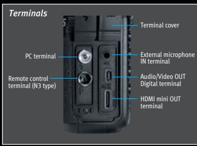 CANON SPEEDLITE 380EX - Beyond the Moving Image - 1