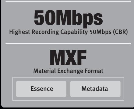 CANON SPEEDLITE 380EX - MPEG-2 Long-GOP - 2