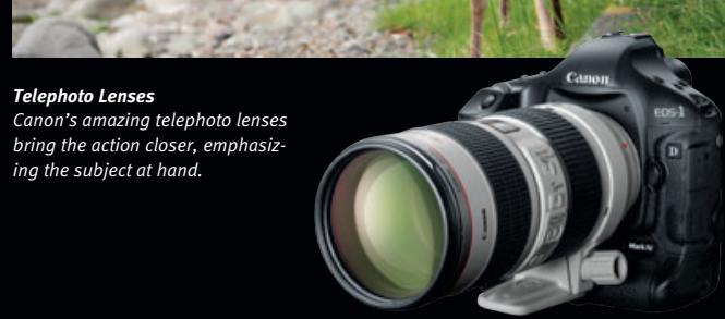 CANON SPEEDLITE 380EX - Telephoto Lenses - 3