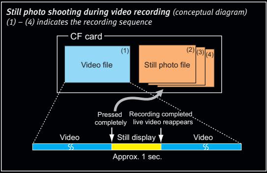 CANON SPEEDLITE 380EX - Image Quality - 1