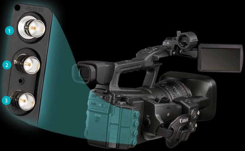 CANON XF305 - XF305 - 1