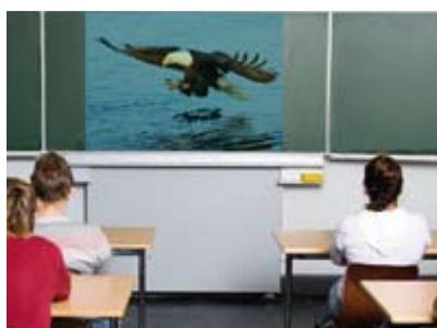 CANON LV-8300 - USER FRIENDLY DESIGN. - 2
