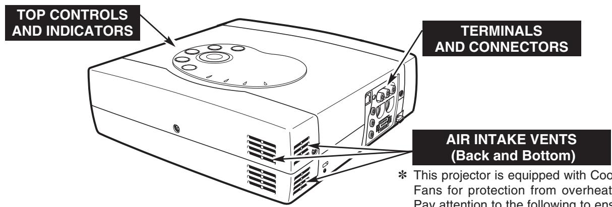 CANON LV-X2 - NOMENCHTOR - 2
