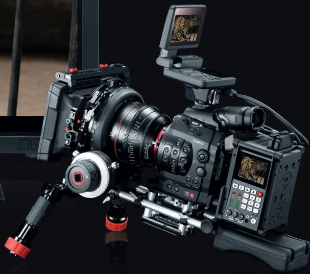 CANON DP-V3010 - High Picture Sharpness - 4