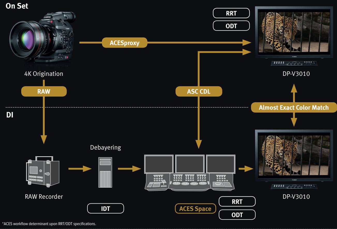 CANON DP-V3010 - Cinema EOS Canon Log Gamma Support - 1