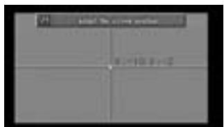 ALPINE NVE-N077P-PS-SPACE-SOFTWARE - Screen position adjustment - 4
