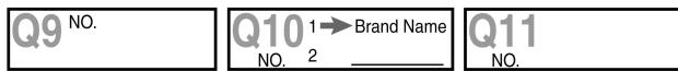 Q9 NO. Q10 1→Brand Name NO. 2 _________ Q11 NO.
