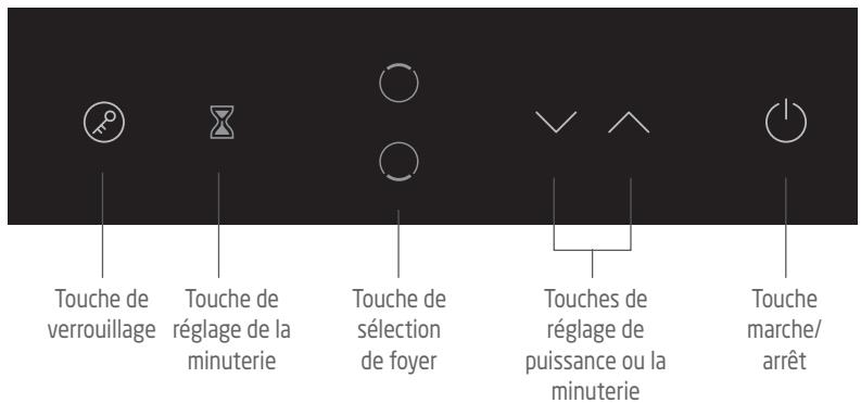PROLINE VH23T2 - DESCRIPTION - 2