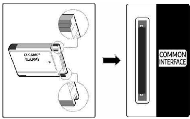 SAMSUNG TQ65S95F - Connexion de la « carte Cl ou Cl+ » via la fente de l'COMMON INTERFACE - 1