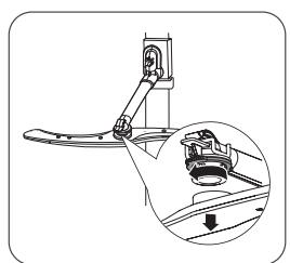 PROLINE DWP12DWH - Nettoyage des bras d'aspersion - 1