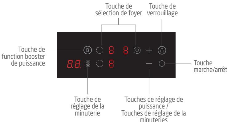 PROLINE PIH66002 - DESCRIPTION - 2