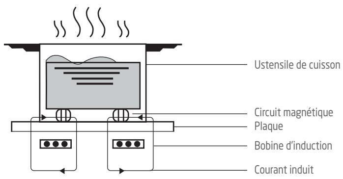 PROLINE PIH66002 - PRINCIPLE DE FONCTIONNEMENT DE L'INDUCTION - 1