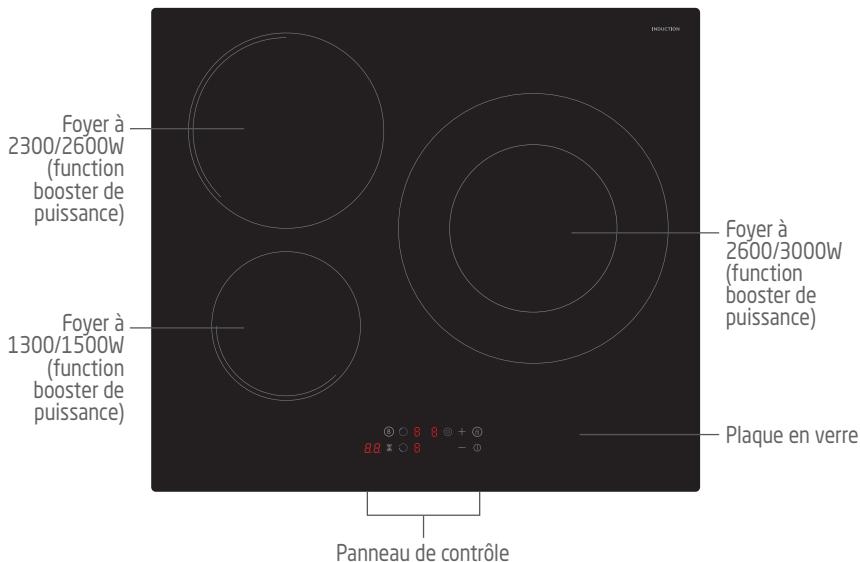 PROLINE PIH66002 - DESCRIPTION - 1