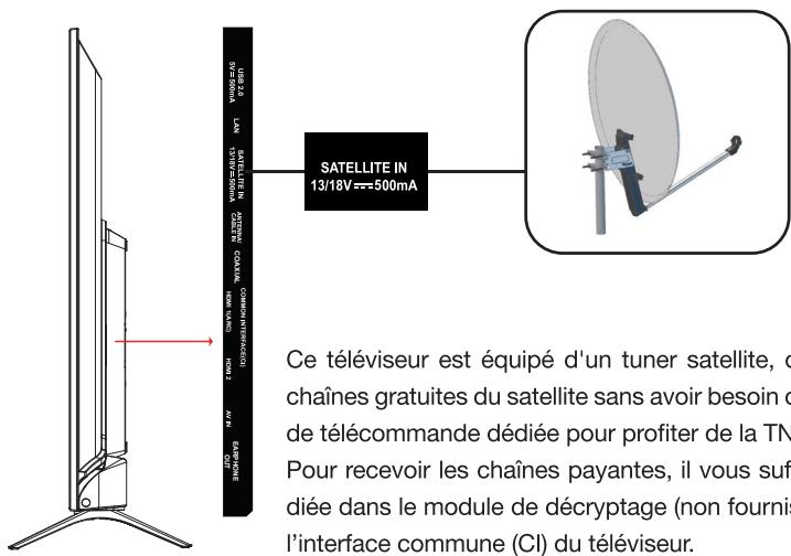 ESSENTIELB 32HD-A7000 - Raccordement à une antennene satellite - 1