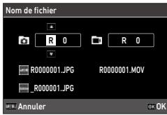 RICOH RICOH GR IV - Nom de fichier - 1