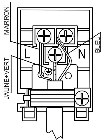 LISTO FEP L1I - Attention! - 1