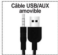 KIA SOUL - Bouton INFO - 1