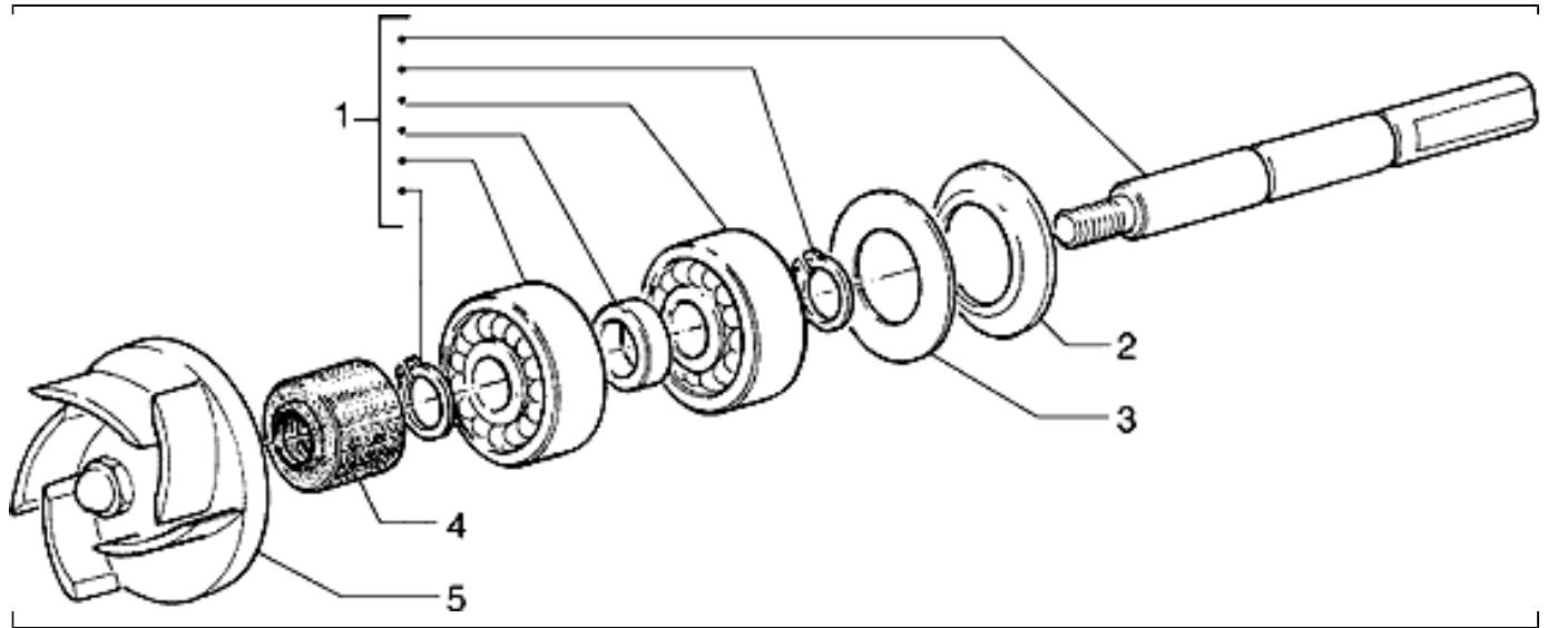 PIAGGIO HEXAGON - Validity - 16