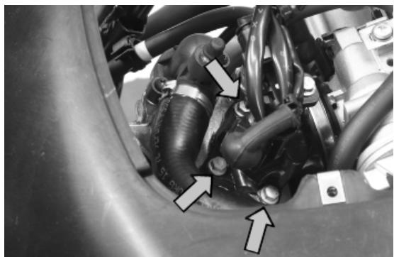 PIAGGIO X7 - Removing the butterfly valve - 4