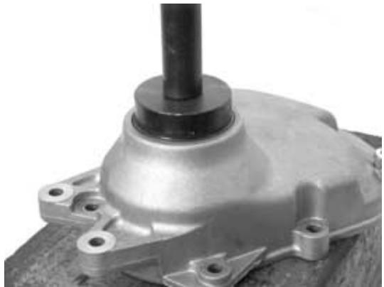PIAGGIO X7 - Specific tooling - 1