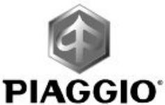 PIAGGIO X9 EVOLUTION - X9 Evolution 125 - 250 - 1
