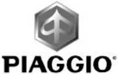 PIAGGIO X9 EVOLUTION - X9 Evolution 125 - 250 - 1