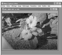 NIKON CAPTURE - Conserver le niveau de zoom lorsque l'échelle change - 1