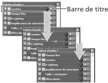 NIKON CAPTURE - Changer l'ordre des palettes - 1