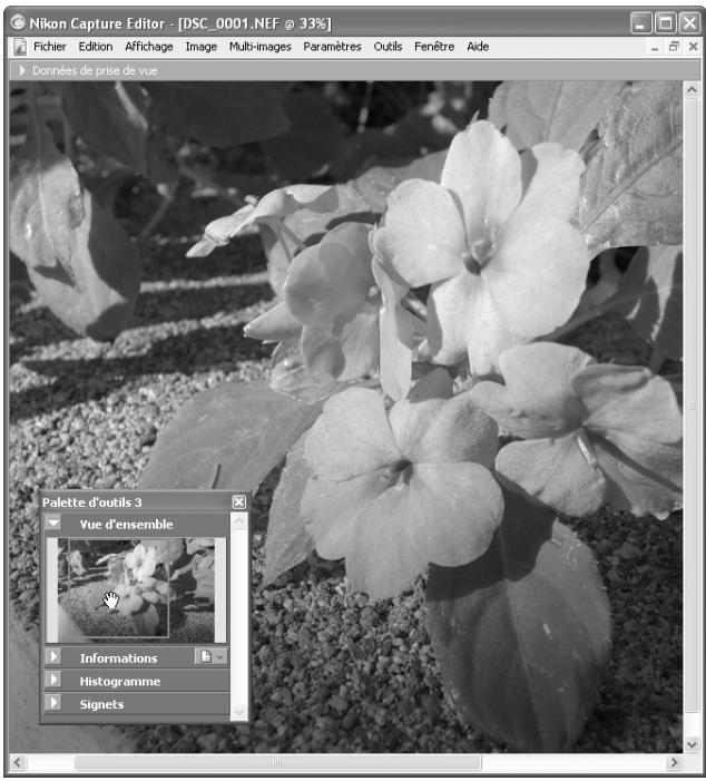 NIKON CAPTURE - La palette Vue d'ensemble - 2