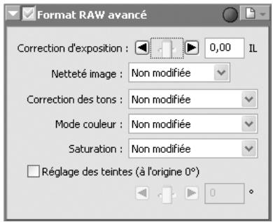 NIKON CAPTURE - Affichez la palette Format RAW avancé - 1