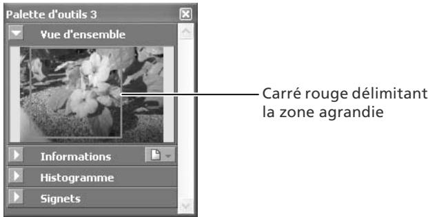 NIKON CAPTURE - La palette Vue d'ensemble - 1