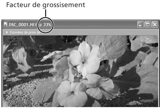 NIKON CAPTURE - Déplacer l'image - 1