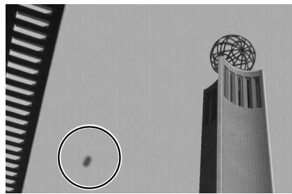 NIKON CAPTURE - Image Dust Off - 1