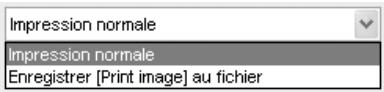 NIKON CAPTURE - Impression normale/Enregisterr [Print image] au fichier - 1