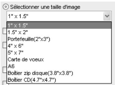 NIKON CAPTURE - Mise en page - 1