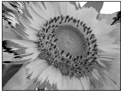 NIKON CAPTURE - Démarrer/Terminer - 2