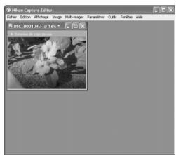 NIKON CAPTURE - Conserver le niveau de zoom lorsque l'échelle change - 2