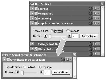 NIKON CAPTURE - L'indicateur de modification - 1