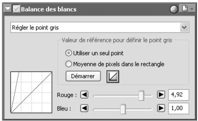 NIKON CAPTURE - Dimensions de I'echantillon - 1