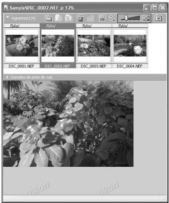 NIKON CAPTURE - Utilisation de l'explorateur d'images - 1