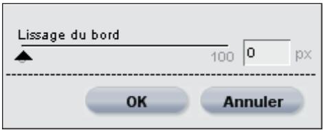NIKON CAPTURE NX - Boîte de dialogue des options des outils de type lasso - 1